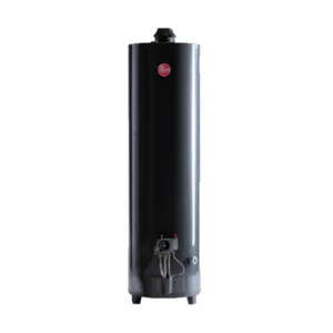 Termotanque Rheem Gas Natural 160 Lts Carga Superior Pie